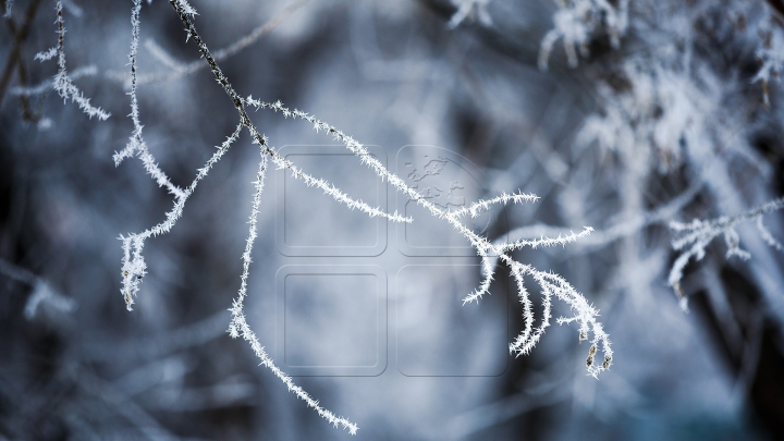 METEO: Surprizele vremii pentru ultima zi de toamnă. Când vom avea parte de ZĂPADĂ