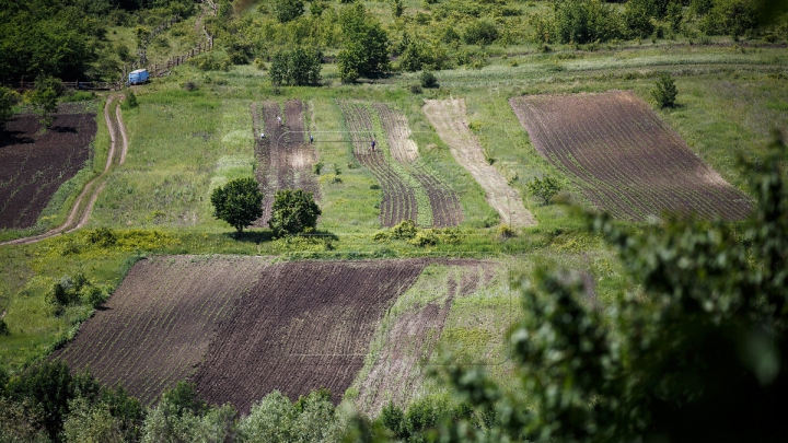 Pavel Filip: Agricultura este un domeniu strategic în consolidarea economiei ţării