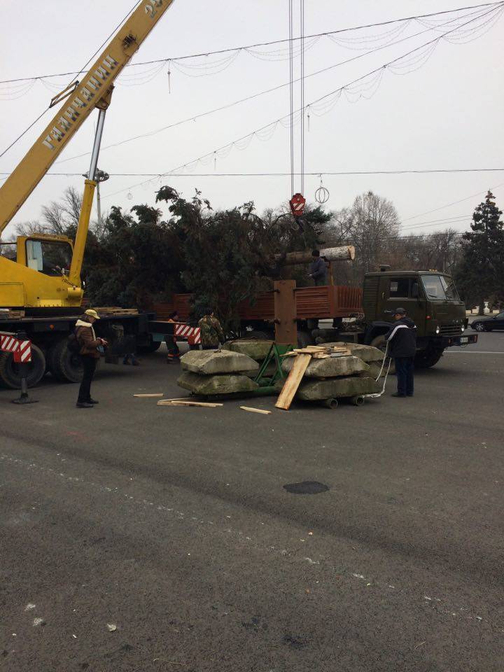 Pomul de Crăciun a fost adus în PMAN. Impresiile locuitorilor Capitalei (FOTO)