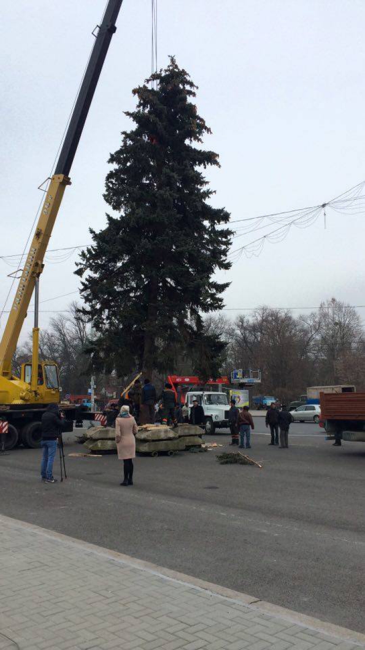 Pomul de Crăciun a fost adus în PMAN. Impresiile locuitorilor Capitalei (FOTO)