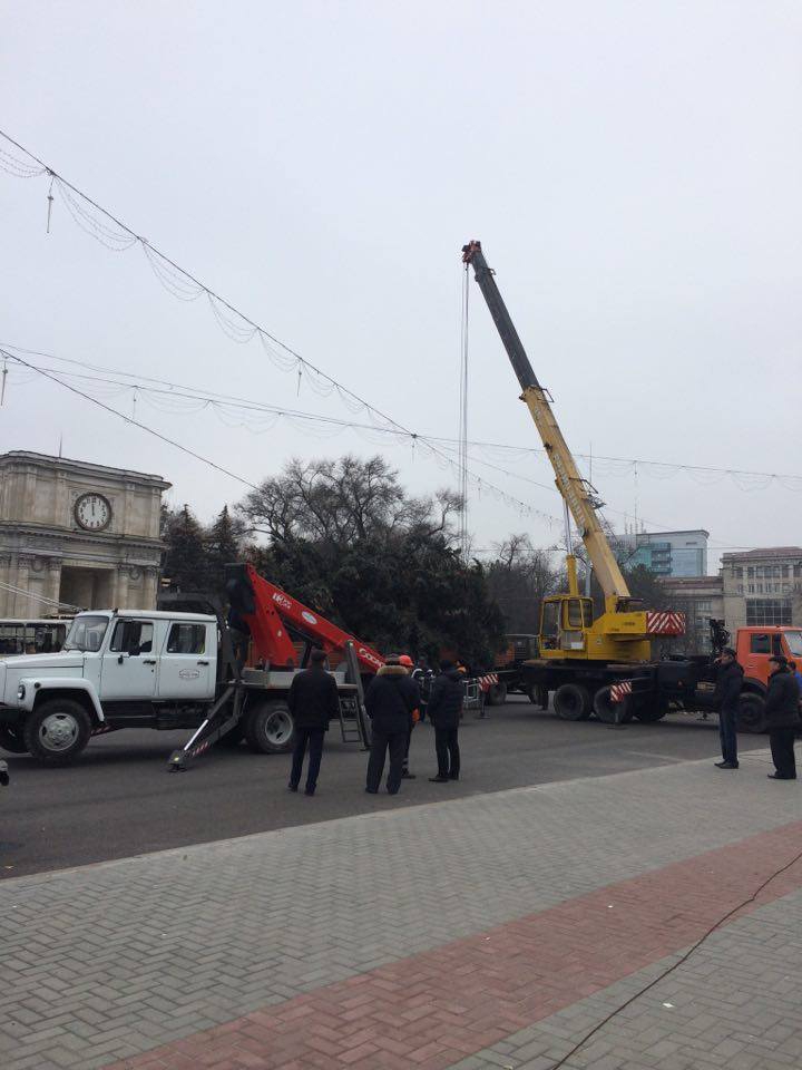 Principalul Pom de Crăciun al țării a fost instalat în centrul Capitalei. CUM ARATĂ (FOTOREPORT)