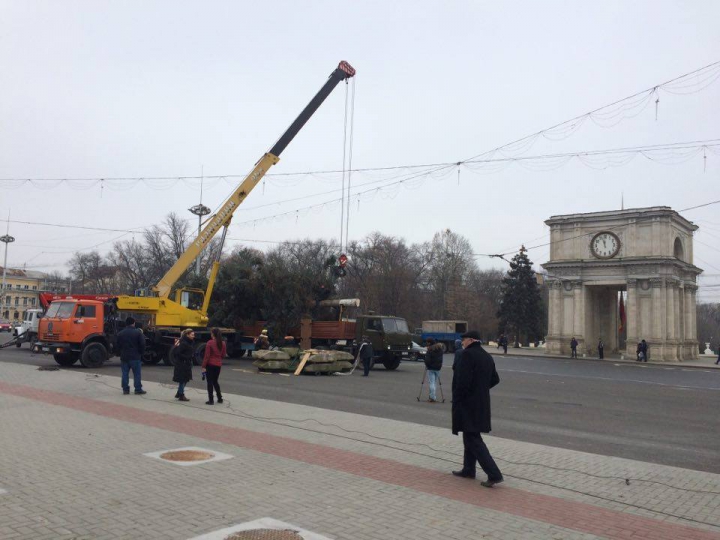 Pomul de Crăciun a fost adus în PMAN. Impresiile locuitorilor Capitalei (FOTO)