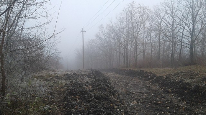 DEZASTRUL din pădurea de la Făleşti: Doi oameni de afaceri au fost REŢINUŢI. Cum vor fi pedepsiţi (FOTO)