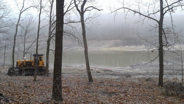 DEZASTRUL din pădurea de la Făleşti: Doi oameni de afaceri au fost REŢINUŢI. Cum vor fi pedepsiţi (FOTO)