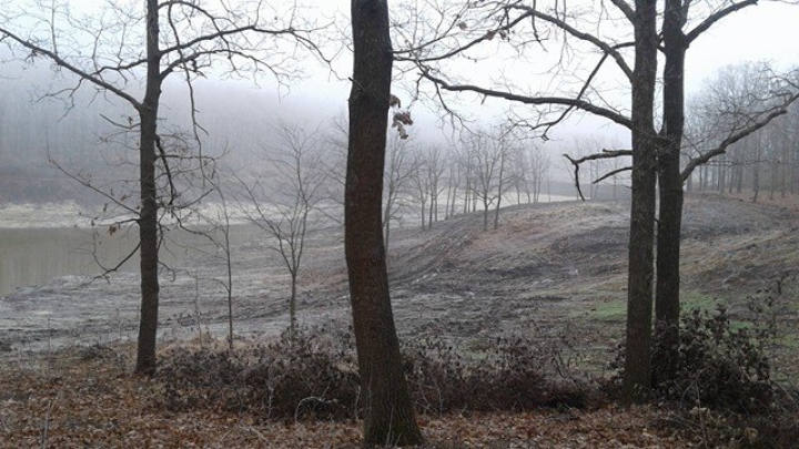 DEZASTRUL din pădurea de la Făleşti: Doi oameni de afaceri au fost REŢINUŢI. Cum vor fi pedepsiţi (FOTO)