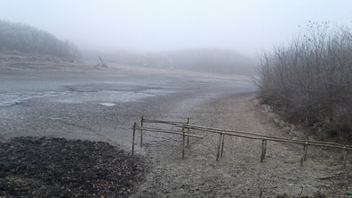 DEZASTRUL din pădurea de la Făleşti: Doi oameni de afaceri au fost REŢINUŢI. Cum vor fi pedepsiţi (FOTO)