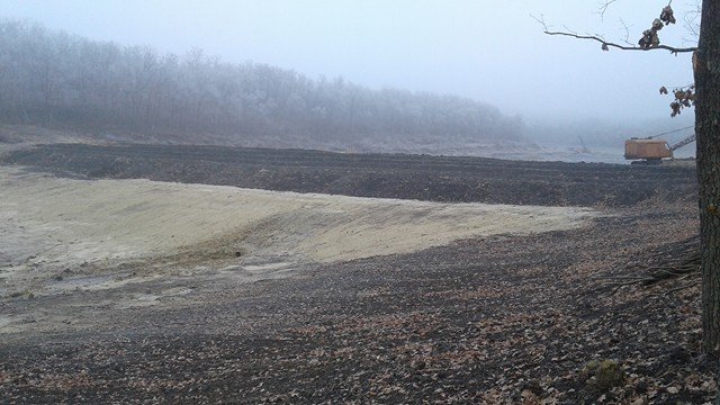 DEZASTRUL din pădurea de la Făleşti: Doi oameni de afaceri au fost REŢINUŢI. Cum vor fi pedepsiţi (FOTO)