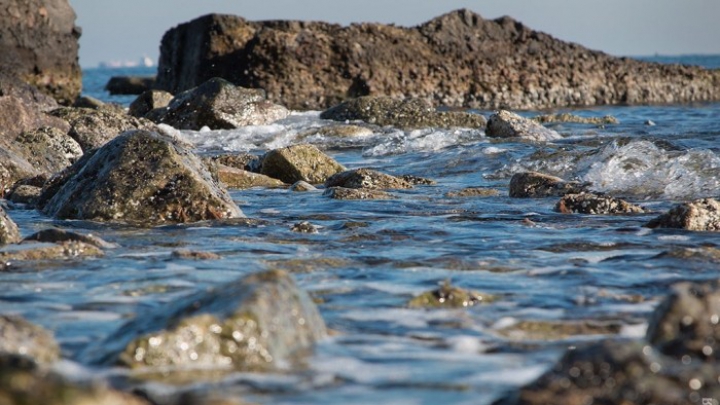 Vreme frumoasă şi în Ucraina! Locuitorii din Odesa au ieşit la plajă (FOTO)