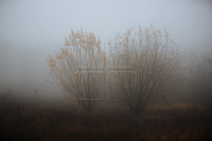 SPLENDOARE AUTUMNALĂ la sate. Imagini ce par rupte dintr-o poveste (FOTOREPORT)