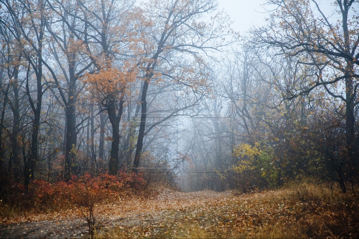 SPLENDOARE AUTUMNALĂ la sate. Imagini ce par rupte dintr-o poveste (FOTOREPORT)