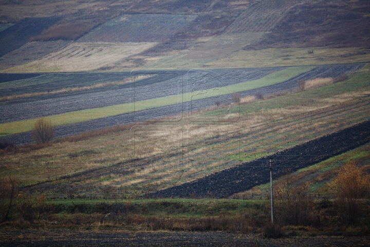 SPLENDOARE AUTUMNALĂ la sate. Imagini ce par rupte dintr-o poveste (FOTOREPORT)