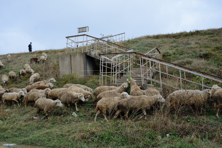 SPLENDOARE AUTUMNALĂ la sate. Imagini ce par rupte dintr-o poveste (FOTOREPORT)