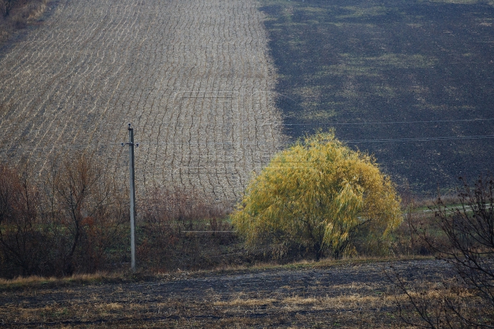 SPLENDOARE AUTUMNALĂ la sate. Imagini ce par rupte dintr-o poveste (FOTOREPORT)