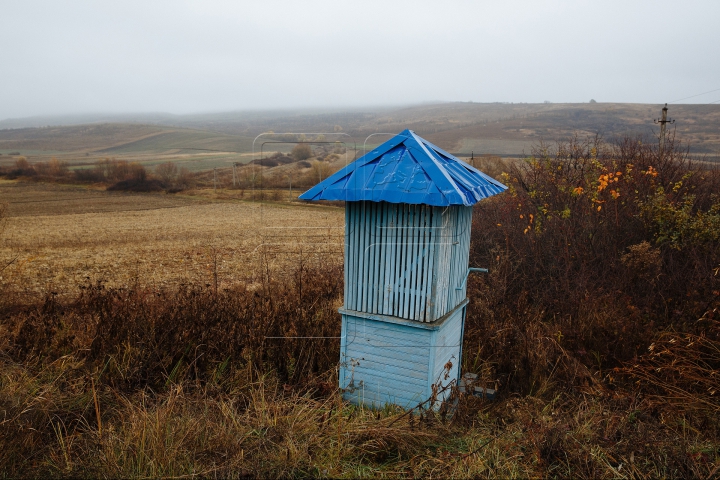 SPLENDOARE AUTUMNALĂ la sate. Imagini ce par rupte dintr-o poveste (FOTOREPORT)