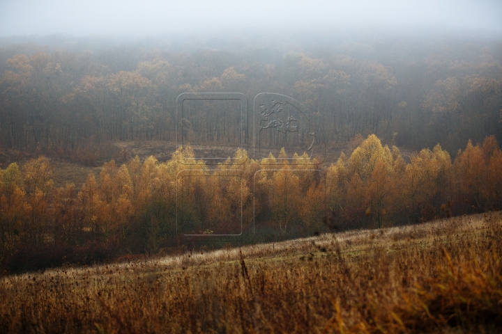 SPLENDOARE AUTUMNALĂ la sate. Imagini ce par rupte dintr-o poveste (FOTOREPORT)