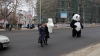 Doi urși, surprinși în preajma teatrului de Operă şi Balet din Capitală! Ce făceau în plină stradă (FOTO)