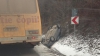 ACCIDENT GRAV la Hânceşti. Un automobil S-A RĂSTURNAT într-un şanţ (FOTO)