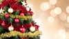 Istoria pomului de Crăciun. Cum am ajuns să decorăm bradul de sărbători