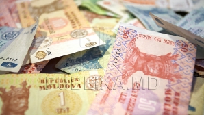 Legea 2% mobilizează. Peste 300 de ONG-uri vor să profite de legea care le oferă 2% din impozitul pe venit