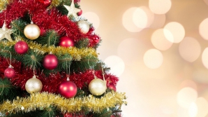 Spirit de sărbători! Judocanul Valeriu Duminică şi-a împodobit bradul de Crăciun. Vezi CUM ARATĂ (FOTO)