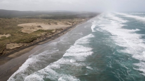 O tânără, ÎNGROZITĂ de ceea ce a văzut. O creatură ciudată a apărut pe plajă (FOTO) 