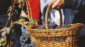 Finanţare pentru INDUSTRIA AUTOHTONĂ! SUA şi Suedia vor oferi 22 de milioane de dolari