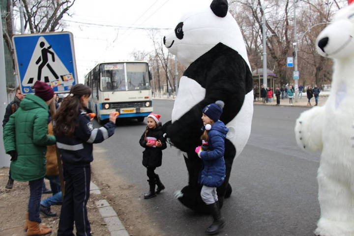 Doi urși, surprinși în preajma teatrului de Operă şi Balet din Capitală! Ce făceau în plină stradă (FOTO)