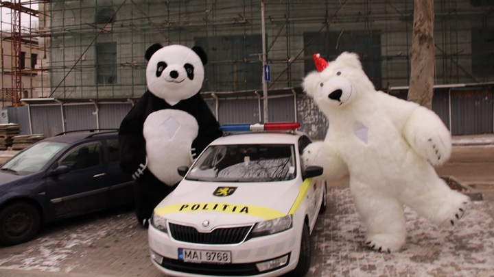 Doi urși, surprinși în preajma teatrului de Operă şi Balet din Capitală! Ce făceau în plină stradă (FOTO)