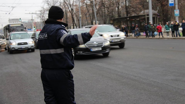 Doi urși, surprinși în preajma teatrului de Operă şi Balet din Capitală! Ce făceau în plină stradă (FOTO)