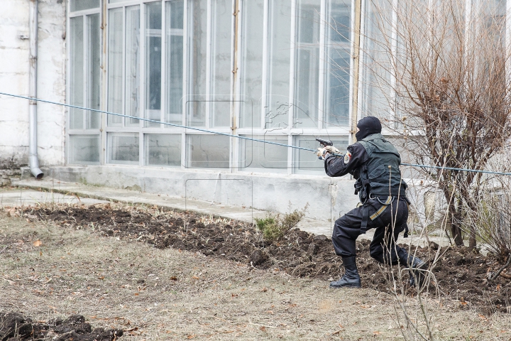 Trupele de Carabinieri au marcat 25 de ani de fondare (FOTOREPORT)