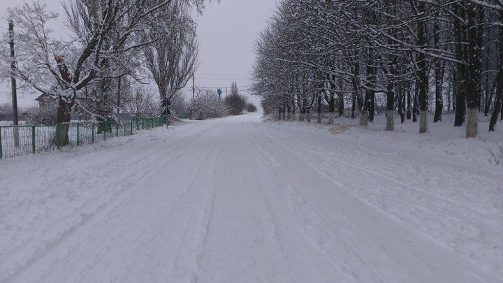 NINGE CA ÎN POVESTE! Iarna a creat UN PEISAJ SPECTACULOS la Briceni (GALERIE FOTO)