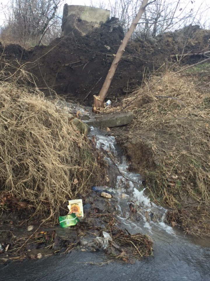 "Izvorul nesecat" de la Codru! O ţeavă de canalizare curge încontinuu de trei zile (FOTO)