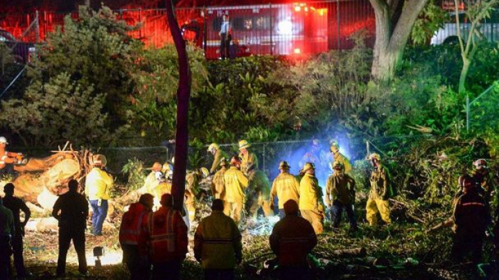 TRAGEDIE la o nuntă din California! E groaznic ce s-a întâmplat cu oaspeții în timp ce își făceau fotografii (FOTO)