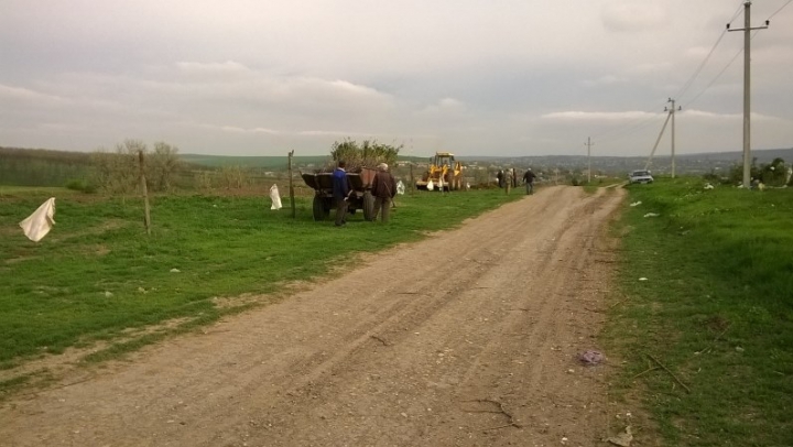 Exemplu demn de urmat. Gunoiștea din satul Taraclia, transformată în pădure (FOTO)