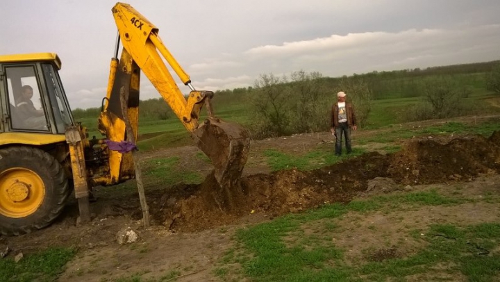 Exemplu demn de urmat. Gunoiștea din satul Taraclia, transformată în pădure (FOTO)