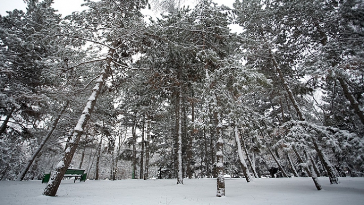 NINGE CA ÎN POVESTE în mai multe localităţi din ţară (FOTO)