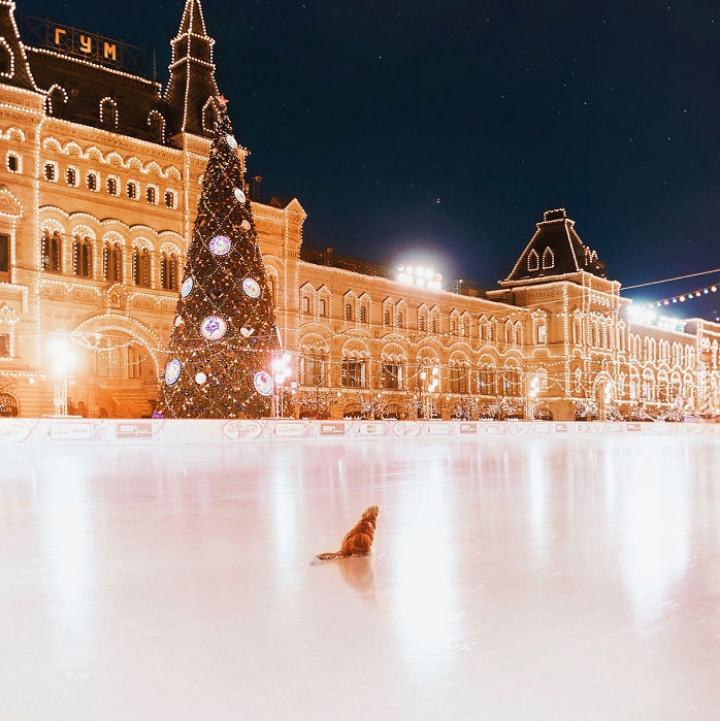 FANTASTIC! O fotografă a arătat în imagini FRUMUSEŢEA SĂRBĂTORILOR DE IARNĂ în Moscova (FOTO)