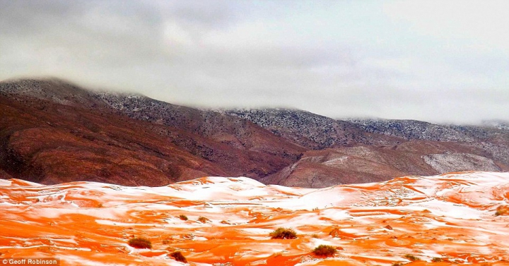 PRIVELIŞTE SPECTACULOASĂ: În Sahara A NINS prima dată după 1979 (FOTO)