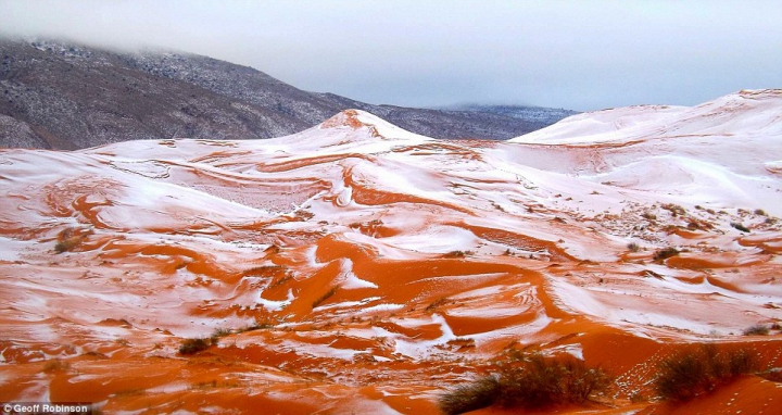 PRIVELIŞTE SPECTACULOASĂ: În Sahara A NINS prima dată după 1979 (FOTO)