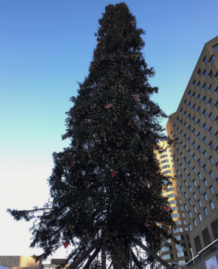 Nu îţi place Pomul de Crăciun din PMAN? Vei rămâne ŞOCAT să vezi cum arată cel din Montreal (FOTO)