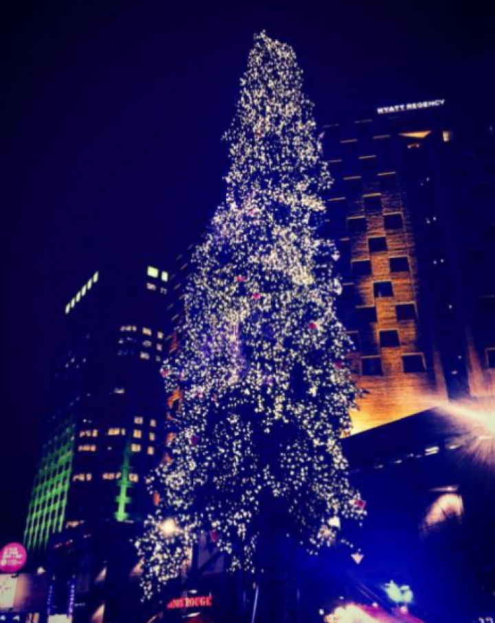 Nu îţi place Pomul de Crăciun din PMAN? Vei rămâne ŞOCAT să vezi cum arată cel din Montreal (FOTO)