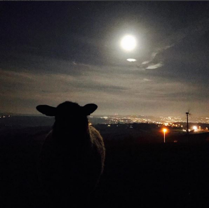 Fenomen astronomic SPECTACULOS: Cum a fost văzută superluna în mai multe colţuri ale lumii (FOTO)