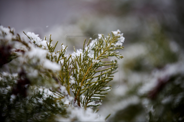 Temperaturi joase în toată țara! Ce ne pregătește vremea pentru weekend (FOTOREPORT)