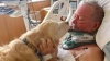 EROU ADEVĂRAT! Cum și-a salvat un câine stăpânul, care și-a rupt gâtul și s-a prăbușit în zăpadă