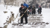 Exemplu demn de urmat. Mai mulţi locuitori din sectorul Buiucani au curăţat zăpada din curtea blocului