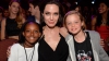 Angelina Jolie riscă să o piardă pe Zahara, fetiţa pe care a adoptat-o când avea şase luni