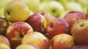 Standardele de calitate pentru mai multe fructe şi legume proaspete, ajustate la normele europene