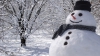 Când a fost făcut primul om de zăpadă. În acea perioadă, artiştii erau plătiţi să sculpteze în omăt
