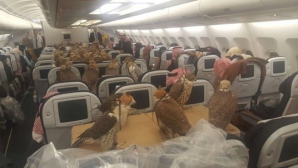 Vecini de scaune NEOBIŞNUIŢI pentru pasagerii unui curse din Arabia Saudită (VIDEO)