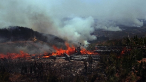 Argentina și Chile, PÂRJOLITE DE INCENDII. Peste un milion de hectare au fost distruse de foc